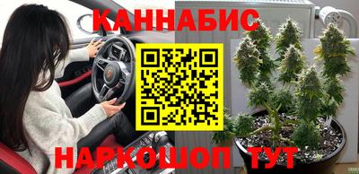 прущие крисы Канаш