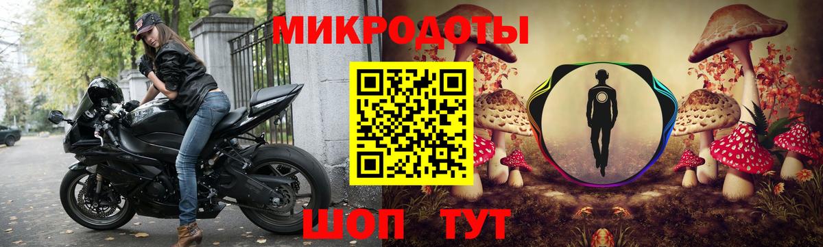 Псилоцибиновые грибы Cubensis Хабаровск
